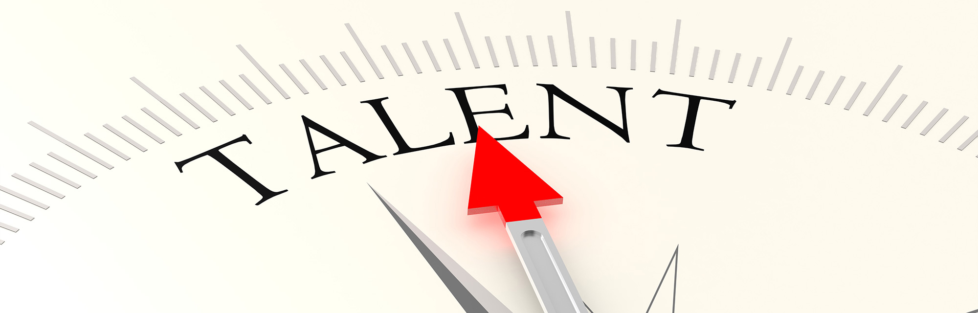 roderer consulting kandidaten talentpool gross