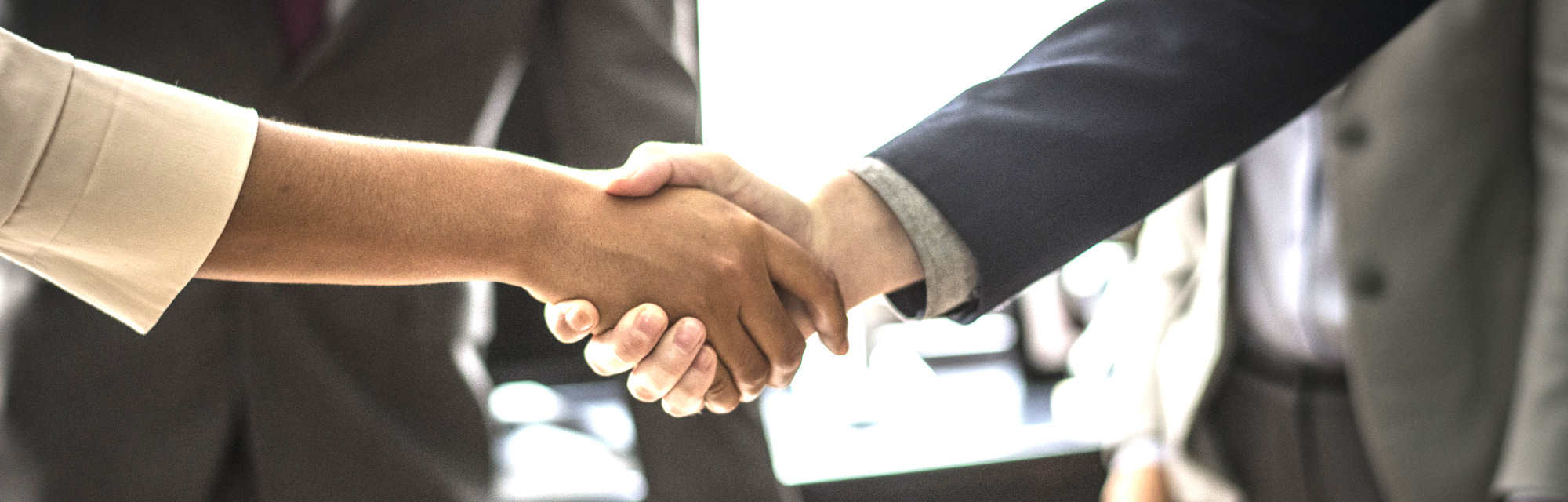 roderer consulting referenzen gross