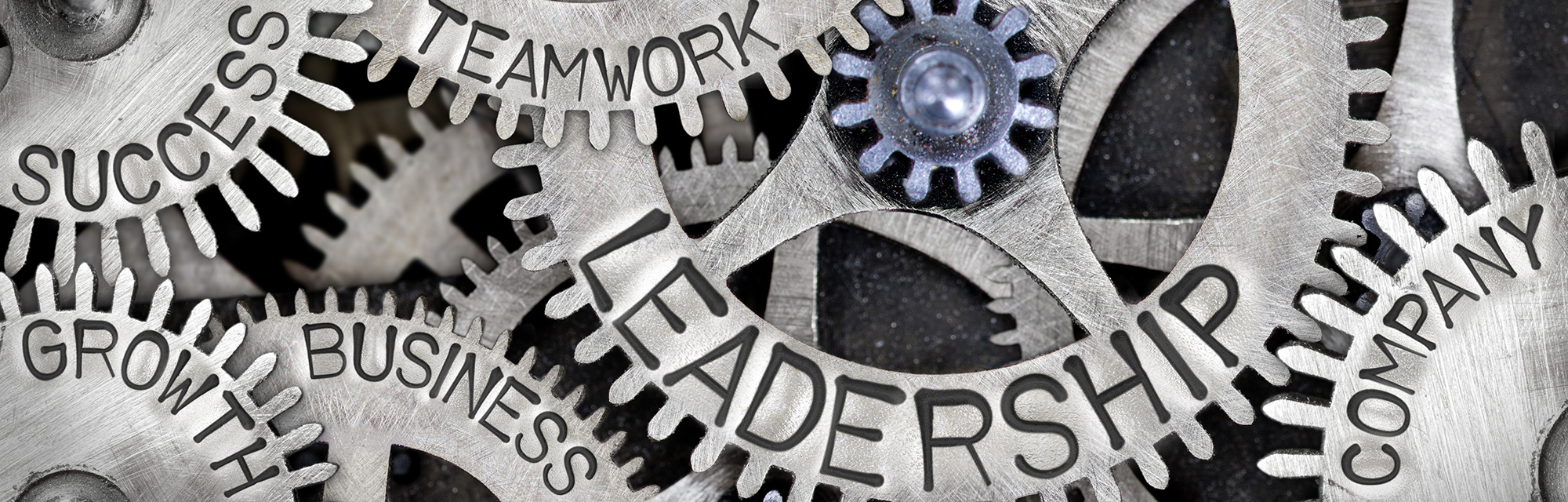 roderer consulting unternehmen personalentwicklung gross